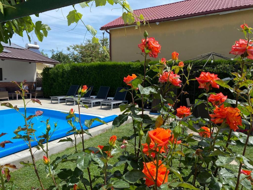 Casa Mateiana Hotel Eforie Nord Buitenkant foto